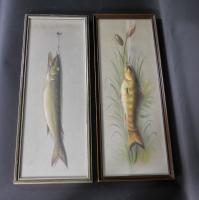 Two John S. Bower Pastel Fish Paintings