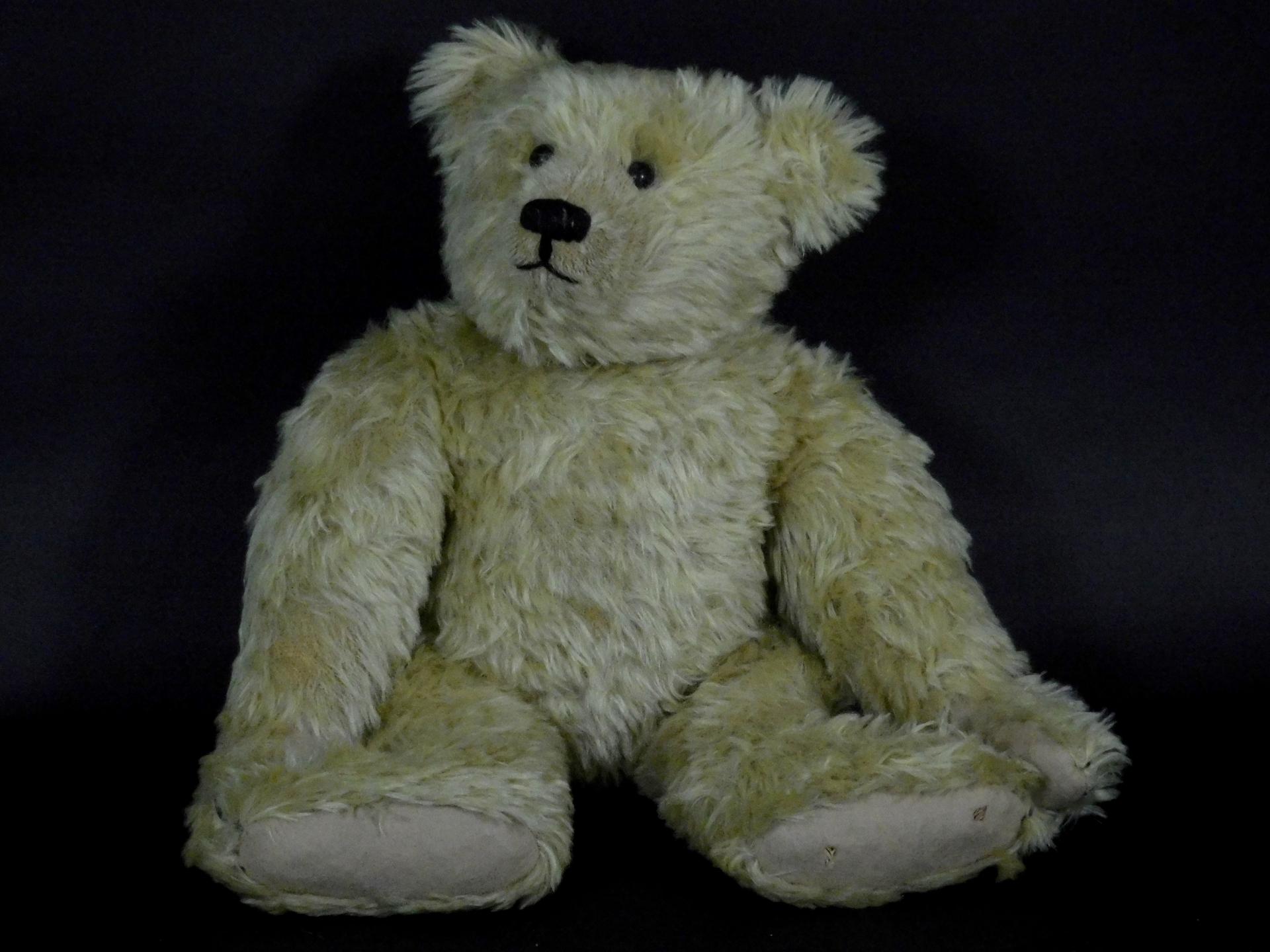 20 Inch Steiff Teddy Bear | Steven F. Still Antiques
